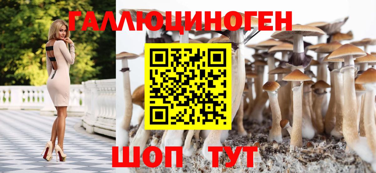 Псилоцибиновые грибы GOLDEN TEACHER Жигулёвск