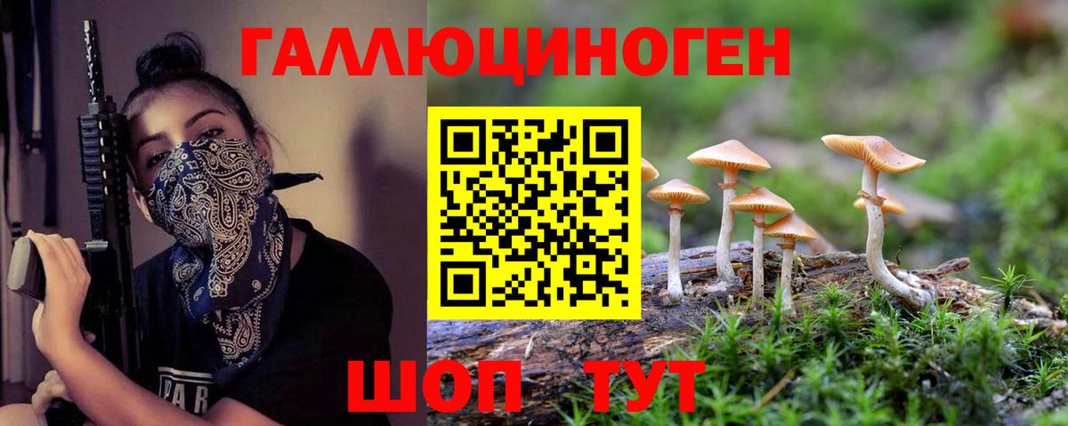 Галлюциногенные грибы GOLDEN TEACHER  Псилоцибиновые грибы мухоморы  Жигулёвск  Вход с VPN 